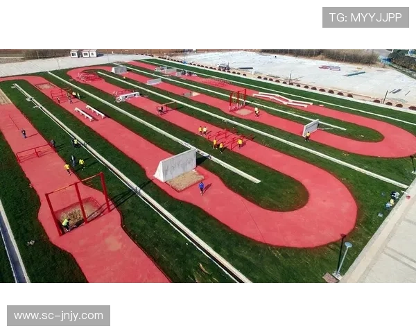 专访吴强：深入探讨排球背后的成功秘诀与团队协作之道